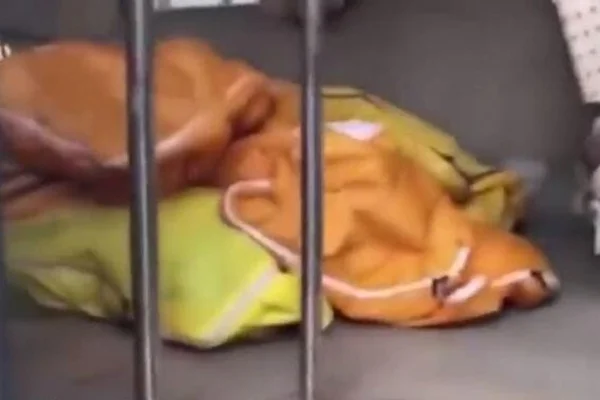 Çin'de ceset yığınlarınının görüntülerini paylaşan adam gözaltına alındı