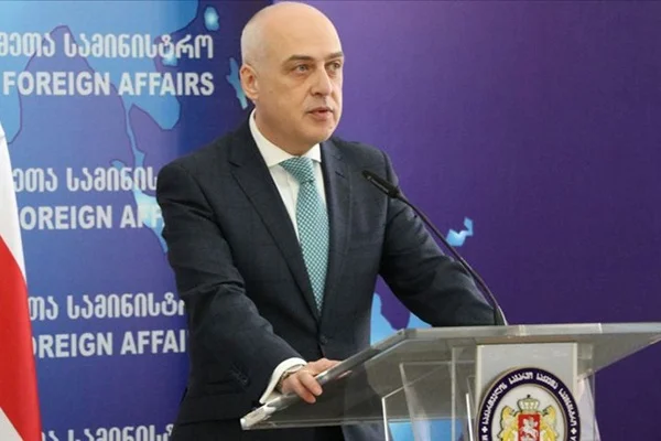 Gürcistan'dan Türkiye'ye Çin'deki Gürcü vatandaşların tahliyesi için teşekkür