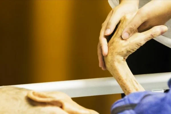 Hollanda'da ötanazi talepleri artıyor