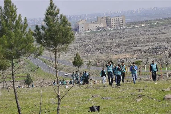 Hükümlüler üç yılda 2,5 milyona yakın fidan dikti