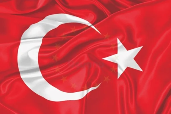 İdlib'de şehit sayısı 22'ye yükseldi
