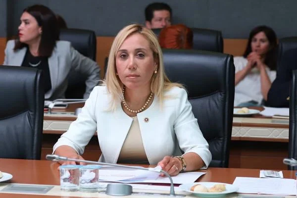 İYİ Parti'de istifa depremi: Genel Başkan Yardımcısı Çokal görevi bıraktı
