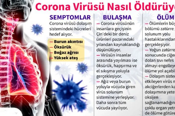 Korona virüsü nedir, nasıl bulaşır, belirtileri nelerdir? Corona virüsü öldürücü mü, tedavisi var mı?