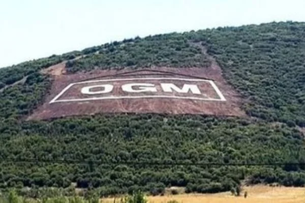 OGM personel alımları Tarım ve Orman Bakanlığı personel alımı ve iş ilanı