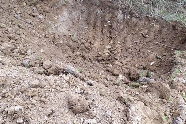 Ormanlık alanda yapılan kazıda kemik parçaları bulundu