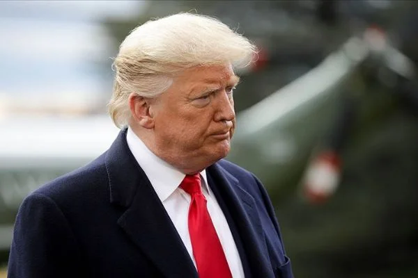 Trump'ın duvar planına Pentagon'dan finansal destek