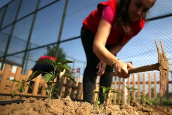 Yerli tohumda Cumhuriyet tarihinin en kapsamlı seferberliği başlıyor