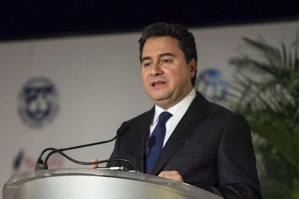 Ali Babacan'ın partisi hangi toplumsal ihtiyaçtan doğdu?