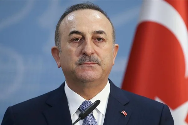 Çavuşoğlu: Bahar Kalkanı ile bayrağımıza uzanan tüm hain elleri kıracağız