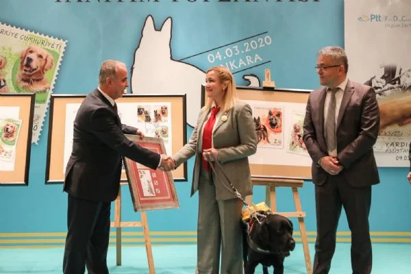 Hayat kurtaran köpekler PTT'nin pullarına girdi
