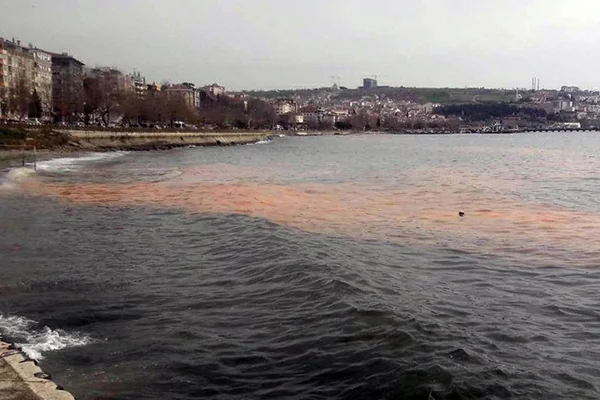 Marmara Denizi'ndeki turuncu renk korkuttu