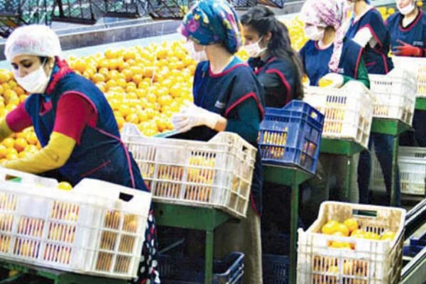 Temassız ticaret ile ihracat risksiz devam ediyor