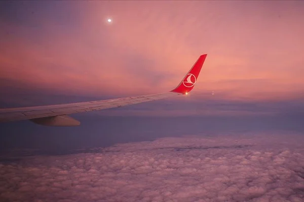 Türk Hava Yolları 5 şehir hariç tüm yurt dışı seferlerini durdurdu