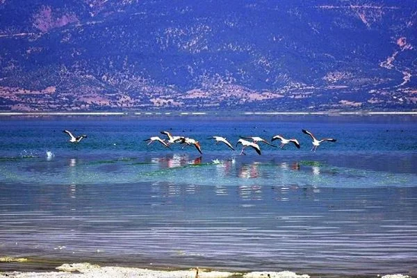 Burdur Gölü'nün biyolojik çeşitlilikle gözde