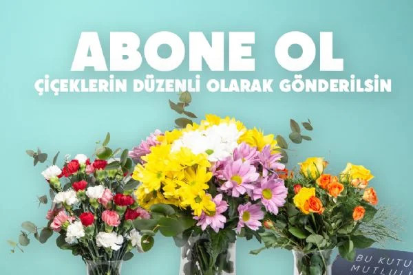 ÇiçekSepeti'nde abone olma dönemi başladı