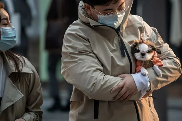 'Çin'de ikinci bir koronavirüs dalgası ihtimali çok düşük'
