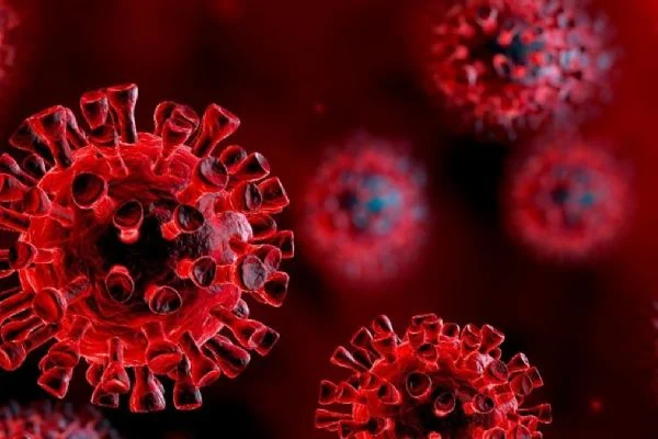 İsveç'te korona virüsten ölenlerin sayısı 2 bin 274 oldu
