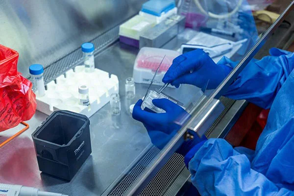Küresel Aşı İttifakından ürküten açıklama: Aşı bulunacağının garantisi yok