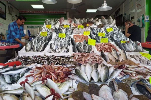 Tezgahlarda balık fiyatları ucuzladı