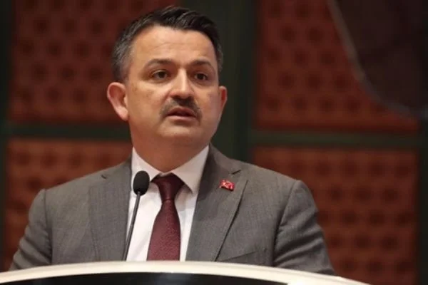 Üretiminde dünya birinsici olduğumuz 'Kiraz'ın hasadı başladı