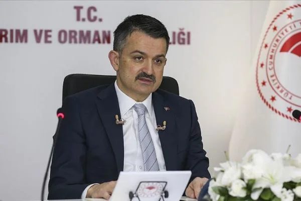 '2 bin 153 sözleşmeli personel istihdamı için başvuruları 15-22 Mayıs'ta alacağız'
