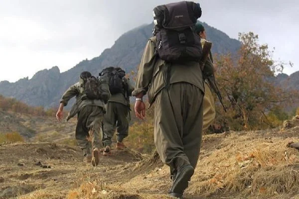 İçişleri Bakanlığı: Terör örgütü PKK'nın Suriye uzantısında yer alan 2 terörist teslim oldu