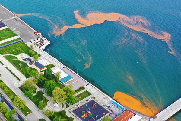 Marmara Denizi yine turuncuya büründü