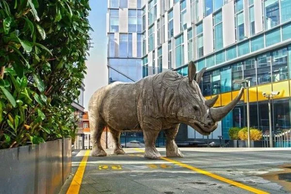 Nef'ten 'Rhinos Back in Town' desteği