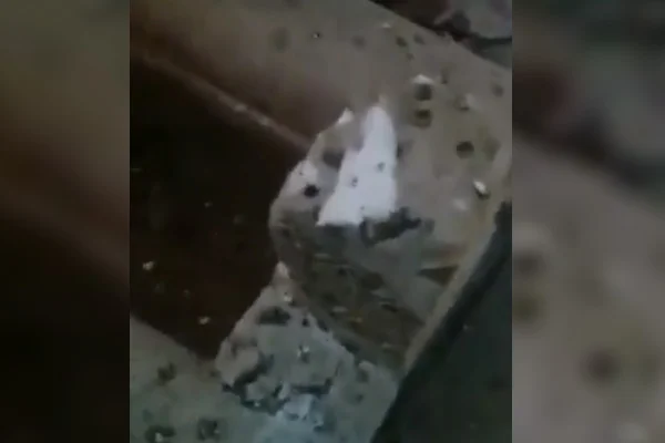 Şii gruplar İslam Halifesi Ömer bin Abdulaziz'in mezarını boşalttı