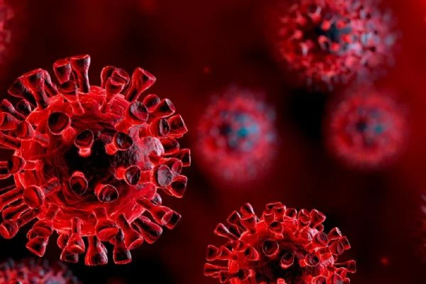 Türkiye'deki başarıyı örnek gösterdiler: Koronavirüs vakaları artınca Sağlık Bakanı görevden alındı