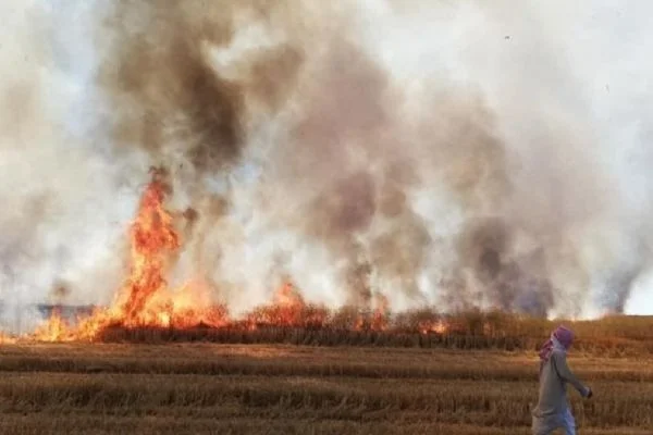 YPG/PKK Deyrizor'da sivillerin tarım arazilerini yaktı