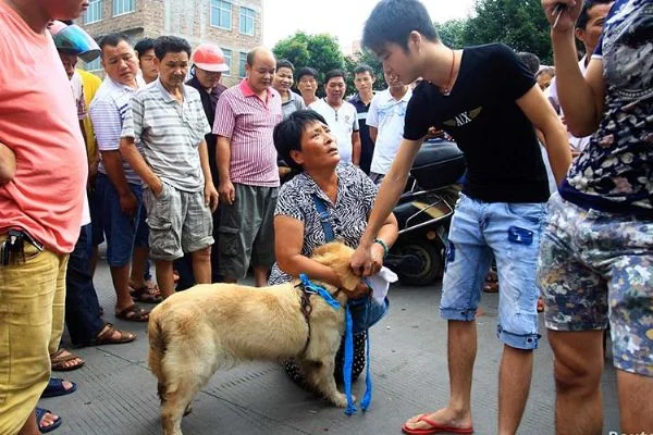 Çin, köpek eti festivalinden vazgeçmiyor