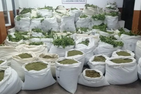 Diyarbakır'da dev narkotik operasyonu: 7 milyon kök Hint keneviri ile 1 ton esrar ele geçirildi