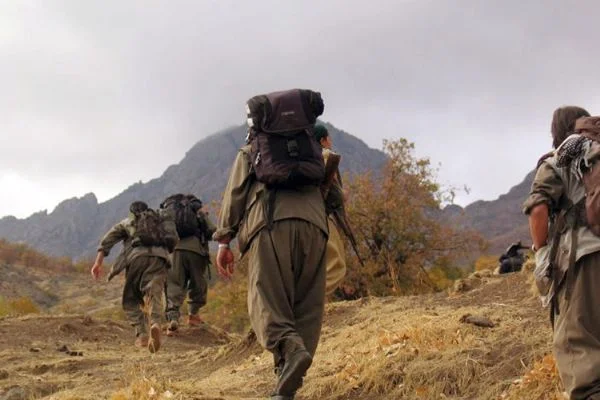 Kırmızı bültenle aranan PKK'lı yakalandı