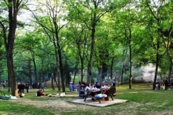 Mangal yapmak yasak mı?