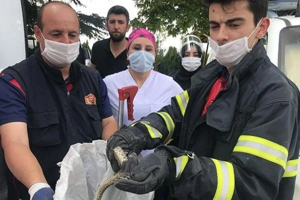Nevşehir'de ambulansın tekerine dolanan yılanı itfaiye çıkardı