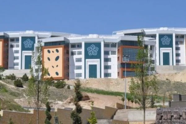 Sosyal medya da 'salgına' dönüştü