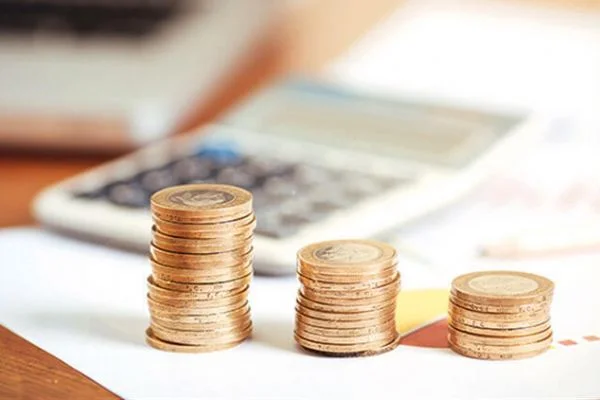 Tamamlayıcı Emeklilik Sistemi (TES) nedir?