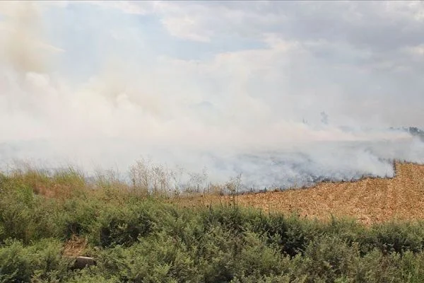 Tel Abyad'da çıkan anız yangınında 1 kişi öldü, 3 kişi yaralandı