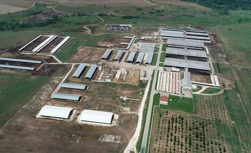 TİGEM, Trakya'nın tarım ve hayvancılığına büyük katkı sağlıyor