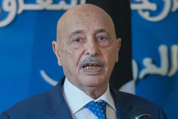ABD Büyükelçisi, darbeci Hafter'in temsilcisi ile 'Petrol'ü görüştü