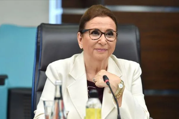 Bakan Pekcan'dan 'Gümrük Birliği' mesajları