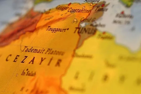 Cezayir Başbakanı Cerrad: Sayıları 500'ü aşan diğer kafataslarını da geri getireceğiz