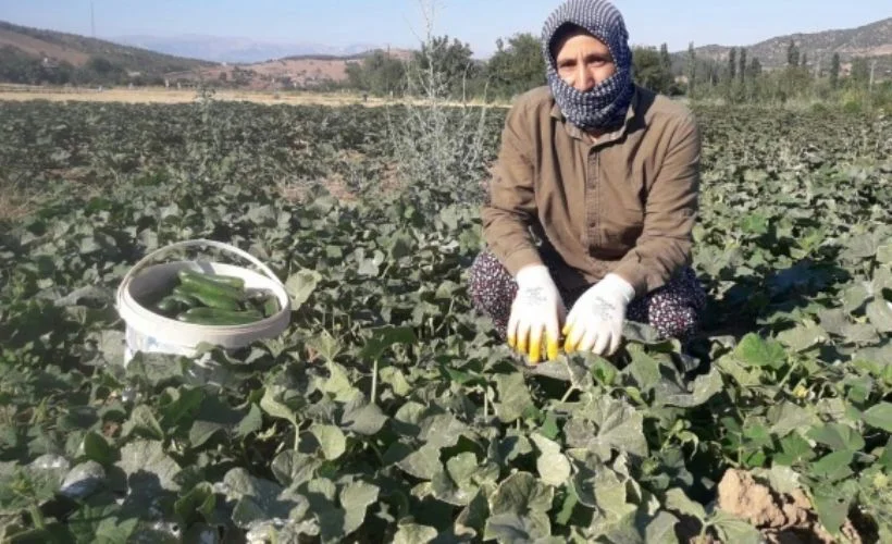 Ev hanımlığından üreticiliğe geçiş