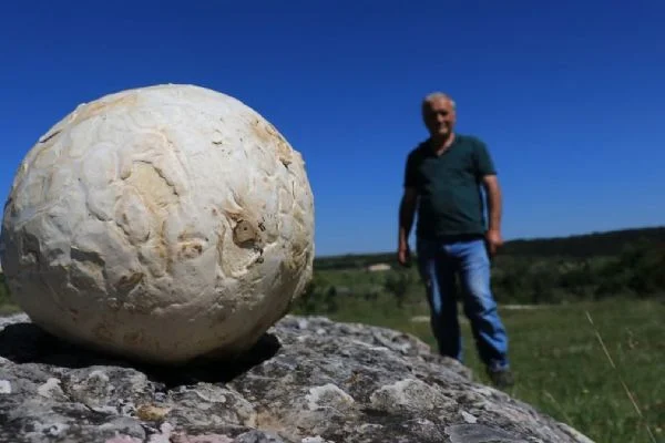 Futbol topu sanmıştı, gerçeği öğrenince şok oldu! Dev mantar tam 5 kilogram ağırlığında