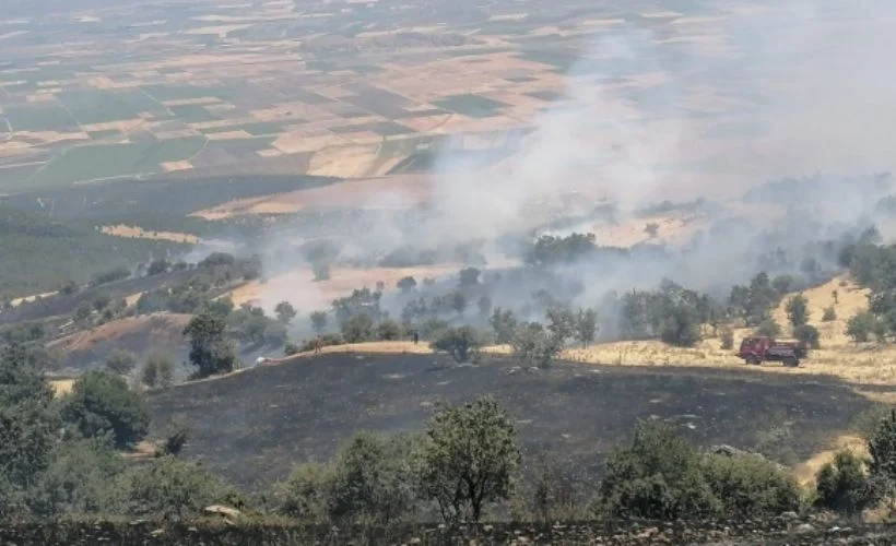 Gaziantep'te ormanlık alanda yangın çıktı