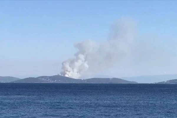 Heybeliada'da orman yangını