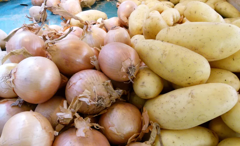 Kuru soğan ve patates ihracatında önemli gelişme