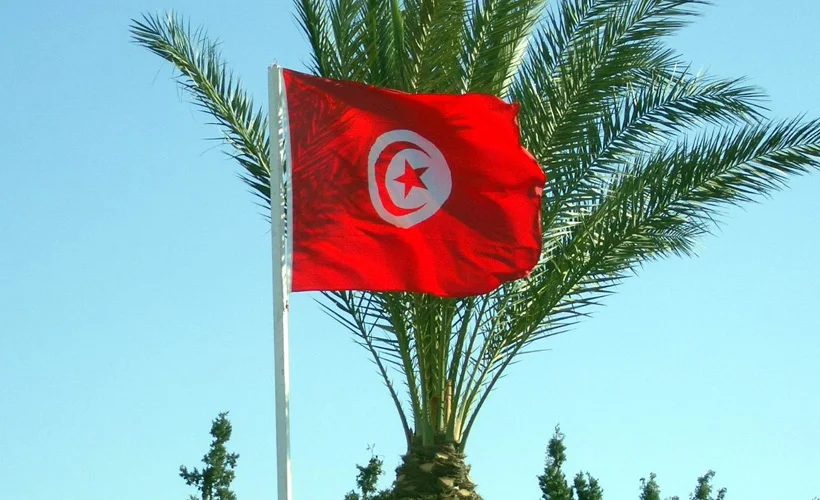Nahda Hareketi'nden kritik iddia: BAE, milletvekillerine para dağıtıyor