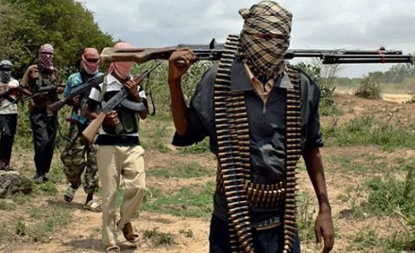 Nijerya'da 600 Boko Haram üyesi serbest bırakıldı
